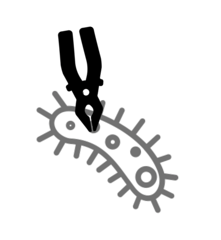 ESR 8: Synthetic biology